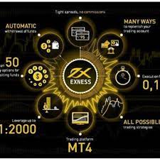 Exness 经纪商试用账户：示范企业主