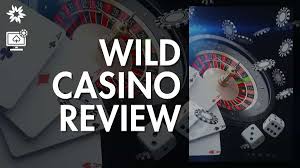 Full Testimonial of Wild Casino